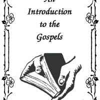 An Introduction to the Gospels (twenty copies)