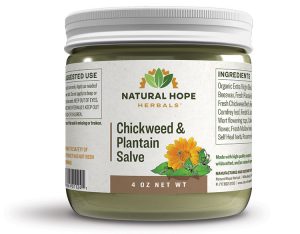 Chickweed & Plantain Salve (large)