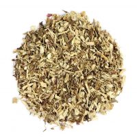 Echinacea purpurea Root